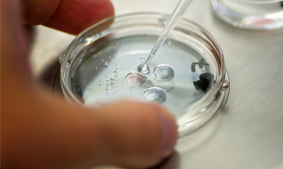 Характеристика и сравнение коммерчески доступных масел, которые используют для культивирования эмбрионов человека