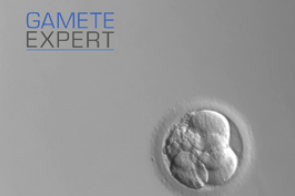 GameteExpert GameteExpert – онлайн-тренинг по оценке сперматозоидов, яйцеклеток и эмбрионов.