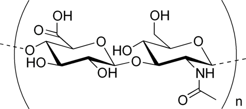 hyaluronan.png hyaluronan.png